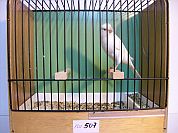 Kopfvogel