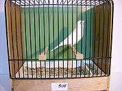 2.Vogel